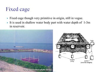 overview of cage culture ppt.
