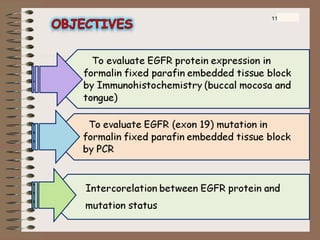 study of EGFR protein expression and mutation | PPT