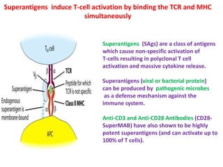 T CELL ACTIVATION AND IT'S TERMINATION | PPTX