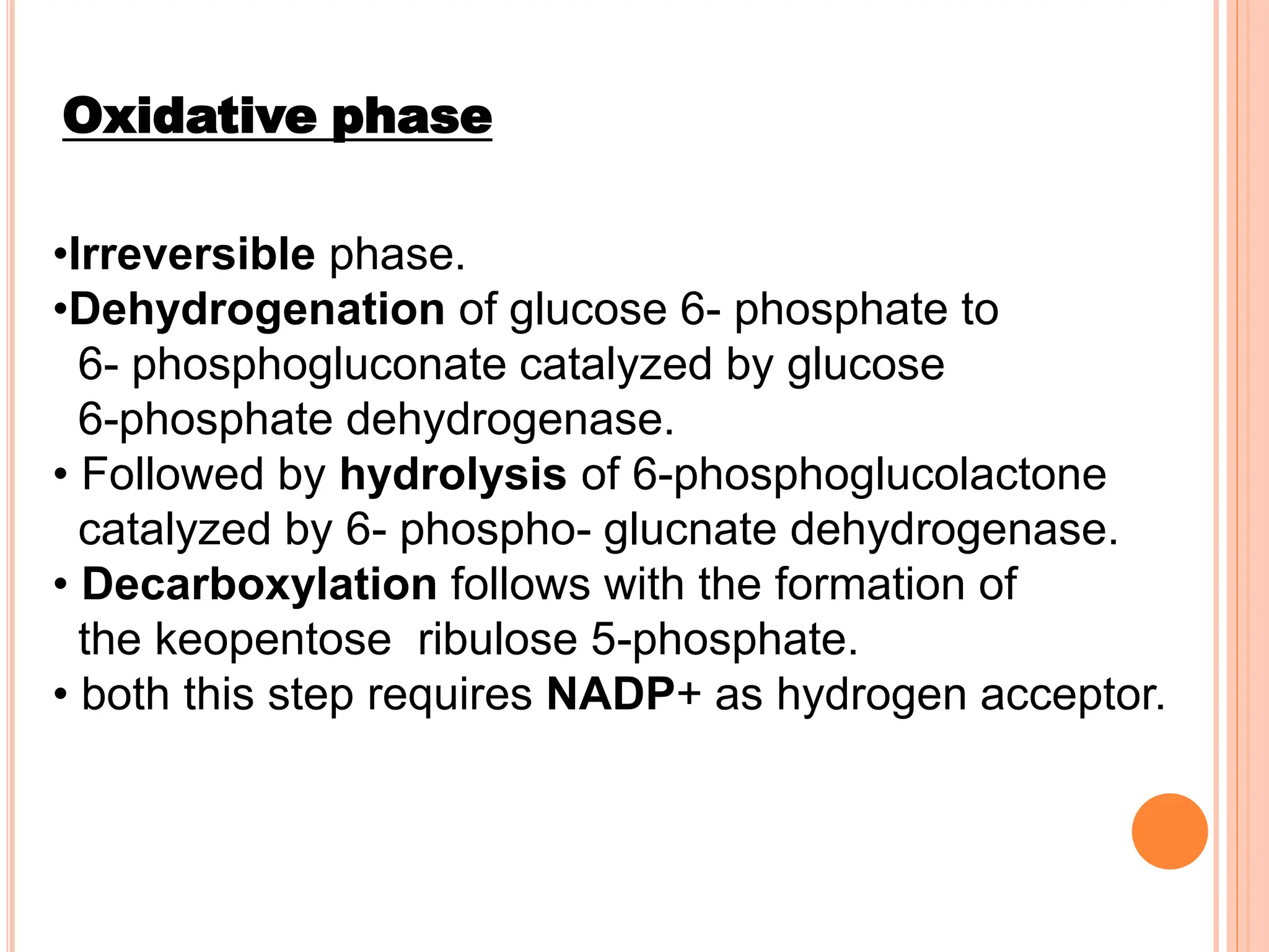 Oxidative phase
•Irreversible phase.
•Dehydrogenation of glucose 6- phosphate to
6- phosphogluconate catalyzed by glucose
6-phosphate dehydrogenase.
• Followed by hydrolysis of 6-phosphoglucolactone
catalyzed by 6- phospho- glucnate dehydrogenase.
• Decarboxylation follows with the formation of
the keopentose ribulose 5-phosphate.
• both this step requires NADP+ as hydrogen acceptor.
 