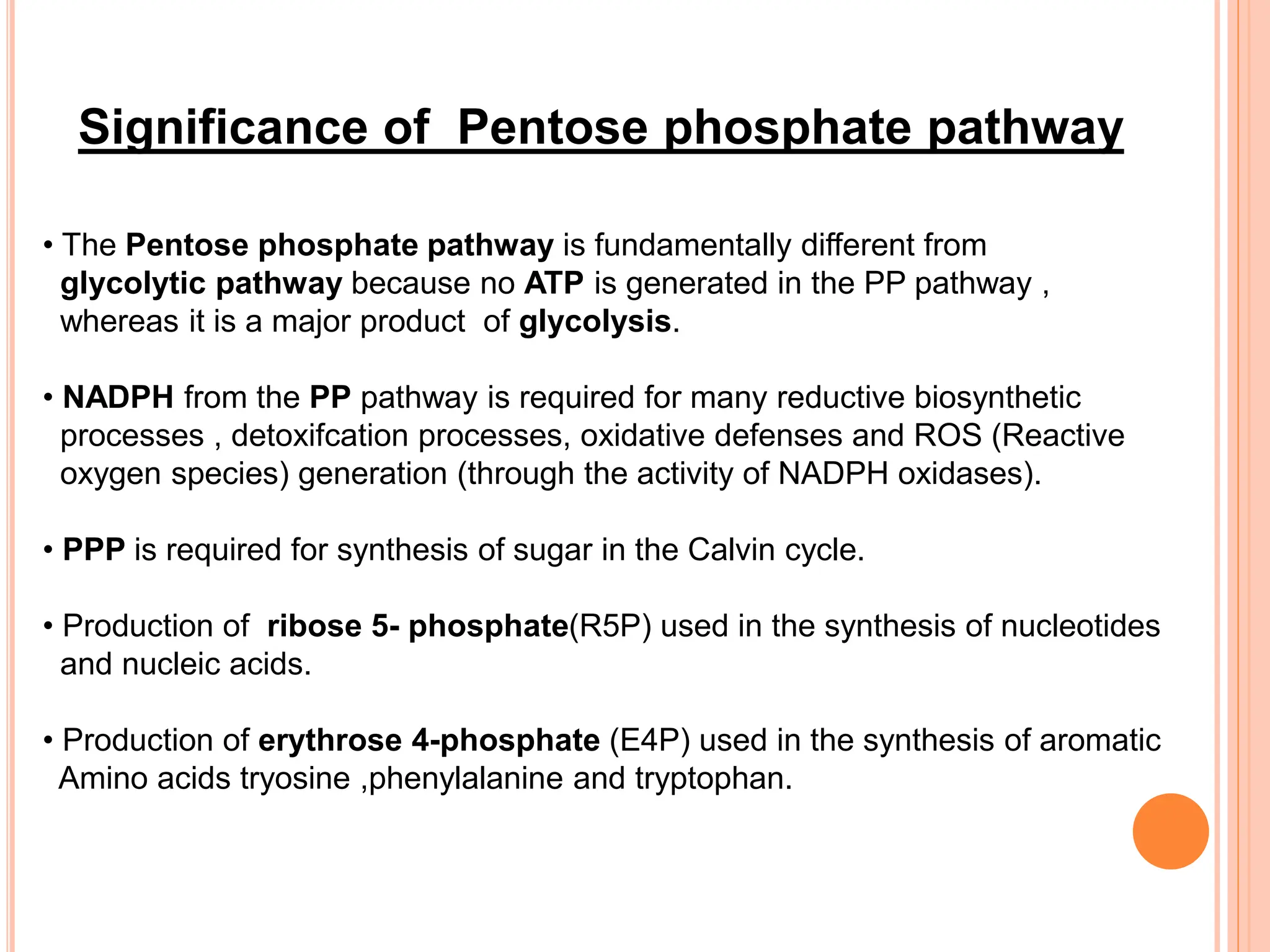Significance of Pentose phosphate pathway
• The Pentose phosphate pathway is fundamentally different from
glycolytic pathway because no ATP is generated in the PP pathway ,
whereas it is a major product of glycolysis.
• NADPH from the PP pathway is required for many reductive biosynthetic
processes , detoxifcation processes, oxidative defenses and ROS (Reactive
oxygen species) generation (through the activity of NADPH oxidases).
• PPP is required for synthesis of sugar in the Calvin cycle.
• Production of ribose 5- phosphate(R5P) used in the synthesis of nucleotides
and nucleic acids.
• Production of erythrose 4-phosphate (E4P) used in the synthesis of aromatic
Amino acids tryosine ,phenylalanine and tryptophan.
 