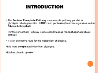 INTRODUCTION
• The Pentose Phosphate Pathway is a metabolic pathway parallel to
glycolysis which generates NADPH and pentoses (5-carbon sugars) as well as
Ribose 5-phosphate
• Pentose phosphate Pathway is also called Hexose monophosphate Shunt
pathway.
• It is an alternative route for the metabolism of glucose.
•It is more complex pathway than glycolysis.
•It takes place in cytosol.
 