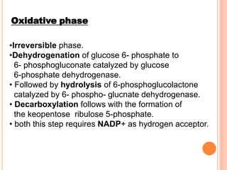 Oxidative phase
•Irreversible phase.
•Dehydrogenation of glucose 6- phosphate to
6- phosphogluconate catalyzed by glucose
6-phosphate dehydrogenase.
• Followed by hydrolysis of 6-phosphoglucolactone
catalyzed by 6- phospho- glucnate dehydrogenase.
• Decarboxylation follows with the formation of
the keopentose ribulose 5-phosphate.
• both this step requires NADP+ as hydrogen acceptor.
 