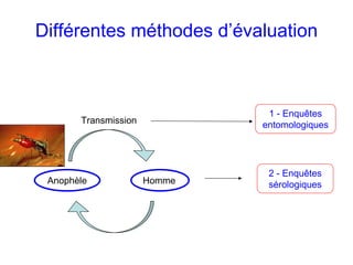 Différentes méthodes d’évaluation



                               1 - Enquêtes
       Transmission           entomologiques




                               2 - Enquêtes
 Anophèle             Homme    sérologiques
 