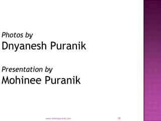 Photos by
Dnyanesh Puranik

Presentation by
Mohinee Puranik


             www.mohinipuranik.com   28
 