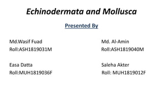 Echinodermata and Mollusca
Presented By
Md.Wasif Fuad Md. Al-Amin
Roll:ASH1819031M Roll:ASH1819040M
Easa Datta Saleha Akter
Roll:MUH1819036F Roll: MUH1819012F
 