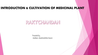 INTRODUCTION & CULTIVATION OF MEDICINAL PLANT
Presented by :
shubham chandrashekhar kanure
 
