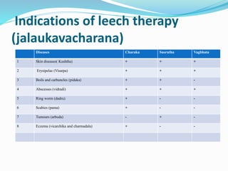 Indications of leech therapy
(jalaukavacharana)
Diseases Charaka Susrutha Vagbhata
1 Skin diseases( Kushtha) + + +
2 Erysipelas (Visarpa) + + +
3 Boils and carbuncles (pidaka) + + -
4 Abscesses (vidradi) + + +
5 Ring worm (dadru) + - -
6 Scabies (pama) + - -
7 Tumours (arbuda) - + -
8 Eczema (vicarchika and charmadala) + - -
 