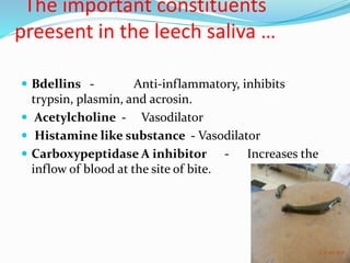 The important constituents
preesent in the leech saliva …
 Bdellins - Anti-inflammatory, inhibits
trypsin, plasmin, and acrosin.
 Acetylcholine - Vasodilator
 Histamine like substance - Vasodilator
 Carboxypeptidase A inhibitor - Increases the
inflow of blood at the site of bite.
 