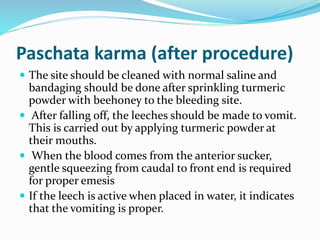 Paschata karma (after procedure)
 The site should be cleaned with normal saline and
bandaging should be done after sprinkling turmeric
powder with beehoney to the bleeding site.
 After falling off, the leeches should be made to vomit.
This is carried out by applying turmeric powder at
their mouths.
 When the blood comes from the anterior sucker,
gentle squeezing from caudal to front end is required
for proper emesis
 If the leech is active when placed in water, it indicates
that the vomiting is proper.
 