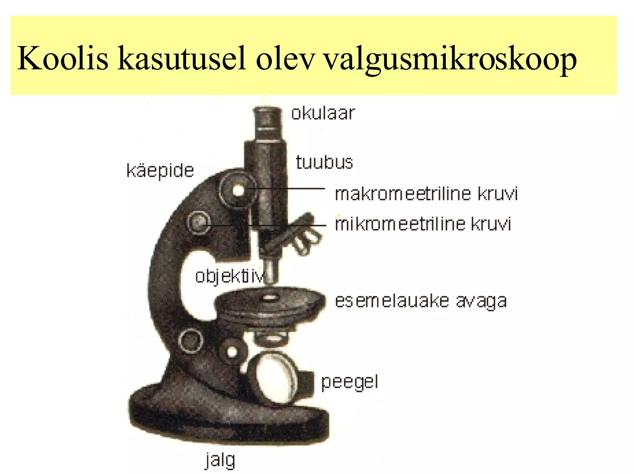 Koolis kasutusel olev valgusmikroskoop 