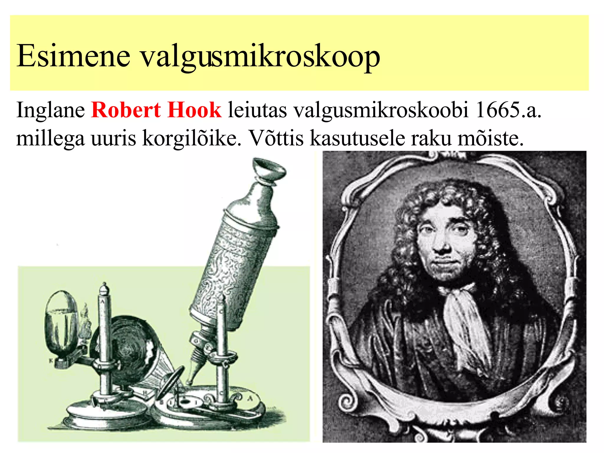 Esimene valgusmikroskoop Inglane  Robert Hook  leiutas valgusmikroskoobi 1665.a. millega uuris korgilõike. Võttis kasutusele raku mõiste. 