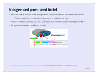 Endogeensed proviirused hiirtel
BrdU aktiveerib Akr liini hiirtel endogeensed retroviirused (MLV, murine leukemia virus)
Akr liini hiirtel on kaks lookust kuhu on integreerunud replikatsiooni-kompetentne MLV
MLV produktsioon viib leukeemia tekkele.
·
DNA metülatsioon eemaldatakse lookusest ja vaigistamine kaob-
·
·
Pilt: ~5% hiire genoomist sisaldab endogeenseid retroviirus järjestusi. Endogenous Retroviruses and the Development of Cancer
10/34
 