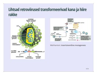 Mehhanism: insertsiooniline mutagenees
Lihtsad retroviirused transformeerivad kana ja hiire
rakke
4/34
 