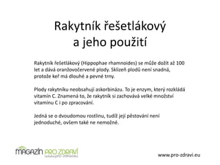 Rakytník řešetlákový
a jeho použití
www.pro-zdravi.eu
Rakytník řešetlákový (Hippophae rhamnoides) se může dožít až 100
let a dává oranžovočervené plody. Sklizeň plodů není snadná,
protože keř má dlouhé a pevné trny.
Plody rakytníku neobsahují askorbinázu. To je enzym, který rozkládá
vitamín C. Znamená to, že rakytník si zachovává velké množství
vitamínu C i po zpracování.
Jedná se o dvoudomou rostlinu, tudíž její pěstování není
jednoduché, ovšem také ne nemožné.
 