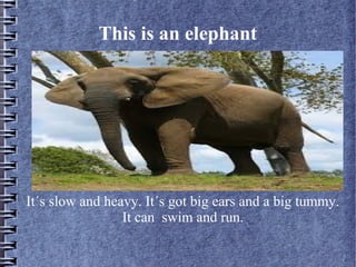 This is an elephant
It´s slow and heavy. It´s got big ears and a big tummy.
It can swim and run.
 