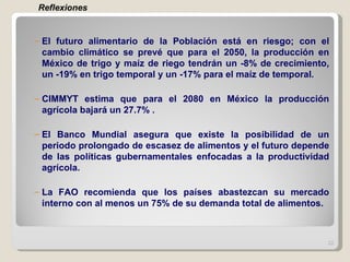 El futuro alimentario de la Población está en riesgo; con el cambio climático se prevé que para el 2050, la producción en México de trigo y maíz de riego tendrán un -8% de crecimiento, un -19% en trigo temporal y un -17% para el maíz de temporal. CIMMYT estima que para el 2080 en México la producción agrícola bajará un 27.7% . El Banco Mundial asegura que existe la posibilidad de un periodo prolongado de escasez de alimentos y el futuro depende de las políticas gubernamentales enfocadas a la productividad agrícola. La FAO recomienda que los países abastezcan su mercado interno con al menos un 75% de su demanda total de alimentos. Reflexiones 