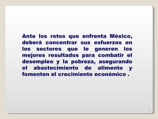 Ante los retos que enfrenta México, deberá concentrar sus esfuerzos en los sectores que le generen los mejores resultados para combatir el desempleo y la pobreza, asegurando el abastecimiento de alimento y fomenten el crecimiento económico . 