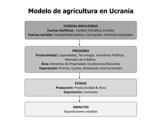 FUERZAS IMPULSORAS
Fuerzas biofísicas: Cambio Climático, Erosión
Fuerzas sociales: Inestabilidad política, Corrupción, Inversión extranjera
PRESIONES
Productividad: Capacidades, Tecnología, Incentivos Políticos,
Mercado de Créditos
Área: Derechos de Propriedad, Condiciones Naturales
Exportación: Precios, Cuotas, Relaciones internacionales
ESTADO
Producción: Productividad & Área
Exportación: Contratos
IMPACTOS
Exportaciones estables
Modelo de agricultura en Ucrania
 