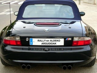 RALLY-en ALDEKO ARGUDIOAK 