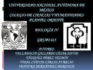 UNIVERSIDAD NACIONAL AUTÓNOMA DE
              MÉXICO
COLEGIO DE CIENCIAS Y HUMANIDADES
         PLANTEL ORIENTE

           BIOLOGÍA IV

            GRUPO 615

              AUTORES:
  VALLADOLID GALLARDO CÉSAR DAVID
        VÁZQUEZ PÉREZ YAZMÍN
     VIDAL CUEVAS CARLOS AURELIO
    VENTURA HERNÁNDEZ BERENICE
 
