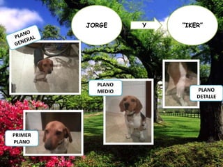 JORGE

PLANO
MEDIO

PRIMER
PLANO

Y

“IKER”

PLANO
DETALLE

 