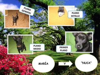 PLANO
DETALLE

PLANO
MEDIO

MARÍA

PRIMER
PLANO

Y

“NUCA”

 