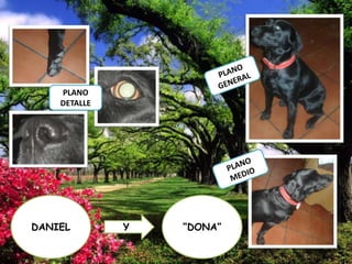 PLANO
DETALLE

DANIEL

Y

“DONA”

 