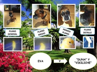 PLANO
DETALLE

PLANO
GENERAL

EVA

Y

“DUNA” Y
“VIKILICHE”

 