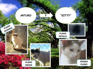 ARTURO

Y

“KITTY”

PLANO
DETALLE

PLANO
MEDIO

PRIMER
PLANO

 