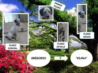 PLANO
MEDIO
PLANO
DETALLE

PLANO
GENERAL

GREGORIO

Y

“KIARA”

 