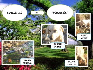 GUILLERME

Y

“PERDIGÓN”

PLANO
MEDIO
PRIMER
PLANO

PLANO
GENERAL

PLANO
DETALLE

 