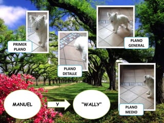 PLANO
GENERAL

PRIMER
PLANO

PLANO
DETALLE

MANUEL

Y

“WALLY”

PLANO
MEDIO

 