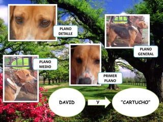 PLANO
DETALLE

PLANO
GENERAL
PLANO
MEDIO
PRIMER
PLANO

DAVID

Y

“CARTUCHO”

 