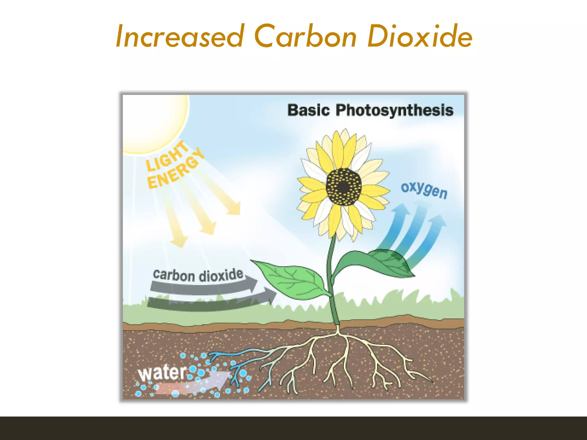 Increased Carbon Dioxide
Image: www.science.howstuffworks.com
 