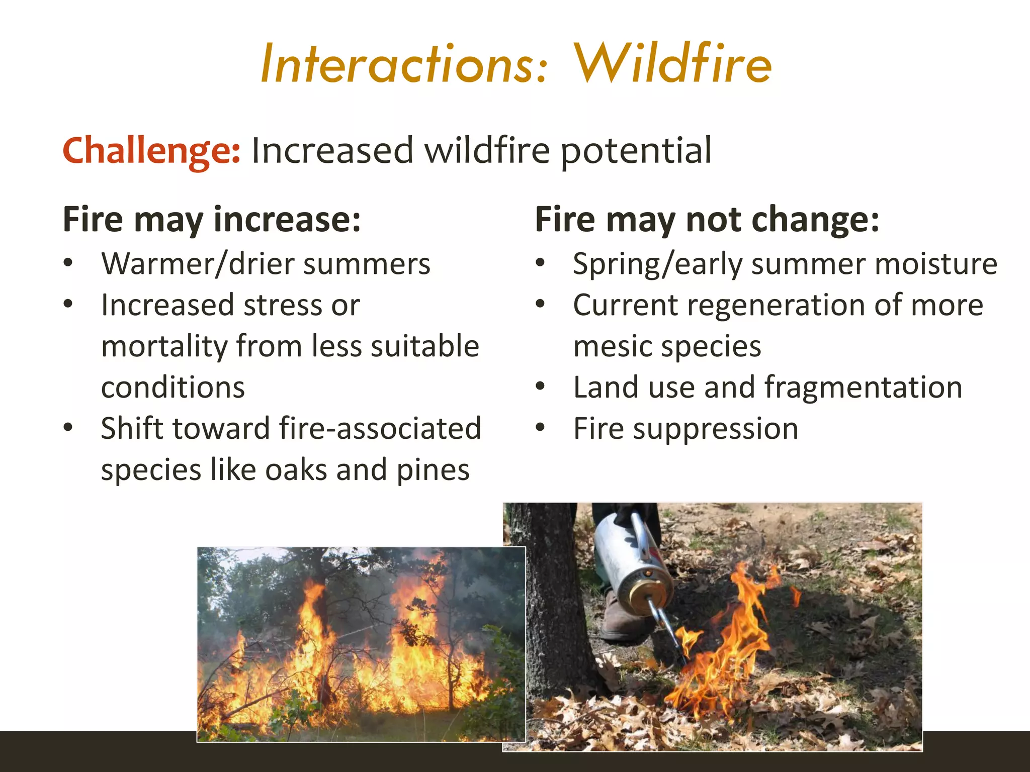 Interactions: Wildfire
Fire may increase:
• Warmer/drier summers
• Increased stress or
mortality from less suitable
conditions
• Shift toward fire-associated
species like oaks and pines
Fire may not change:
• Spring/early summer moisture
• Current regeneration of more
mesic species
• Land use and fragmentation
• Fire suppression
Clark et al. 2014
Challenge: Increased wildfire potential
 
