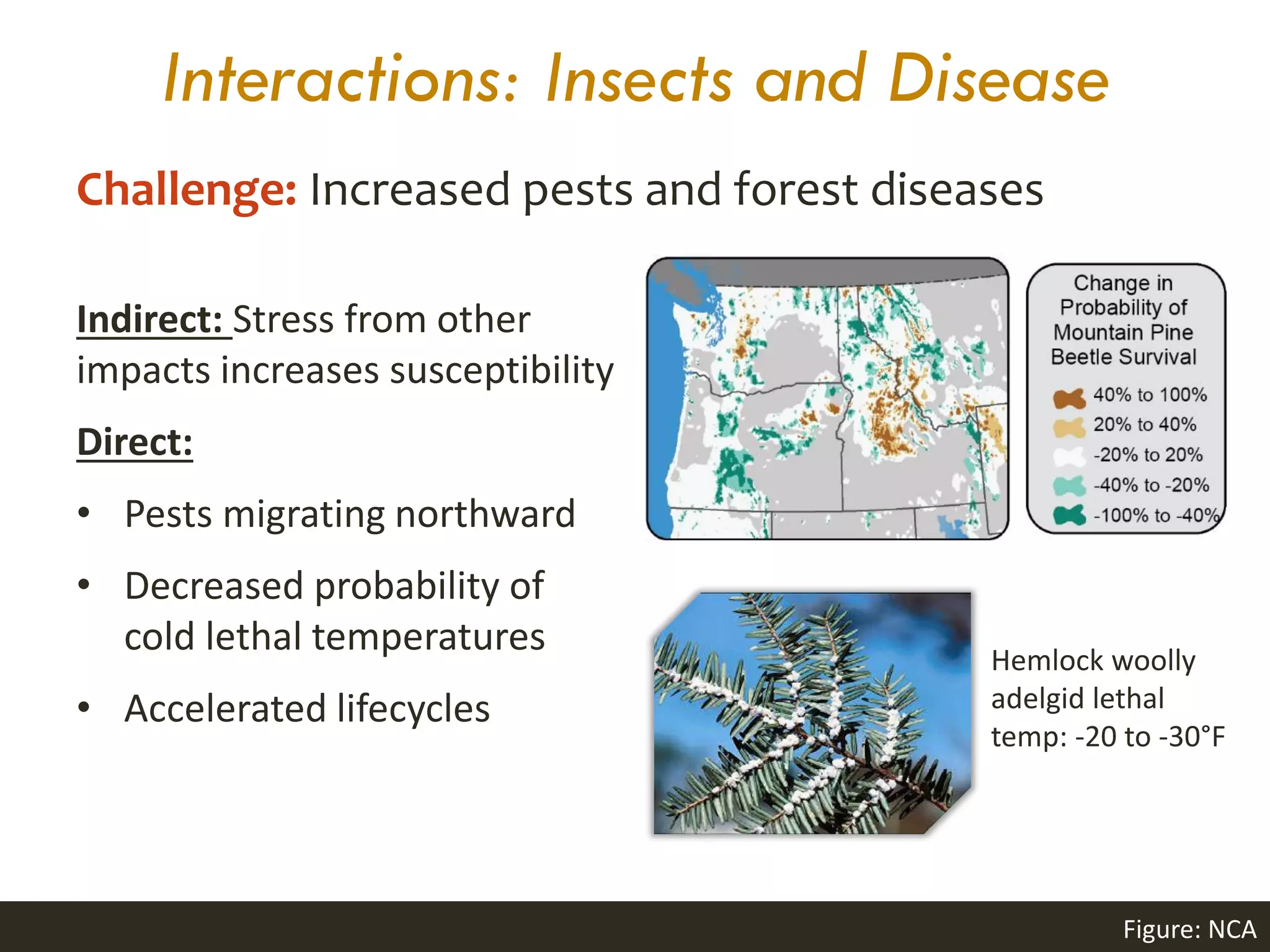Interactions: Insects and Disease
Indirect: Stress from other
impacts increases susceptibility
Direct:
• Pests migrating northward
• Decreased probability of
cold lethal temperatures
• Accelerated lifecycles
Ayres and Lombardero 2000, Woods et al. 2005, Parmesan 2006, Dukes et al. 2009 Image: Frumhoff et al. 2007
Hemlock woolly
adelgid lethal
temp: -20 to -30°F
Challenge: Increased pests and forest diseases
Figure: NCA
 