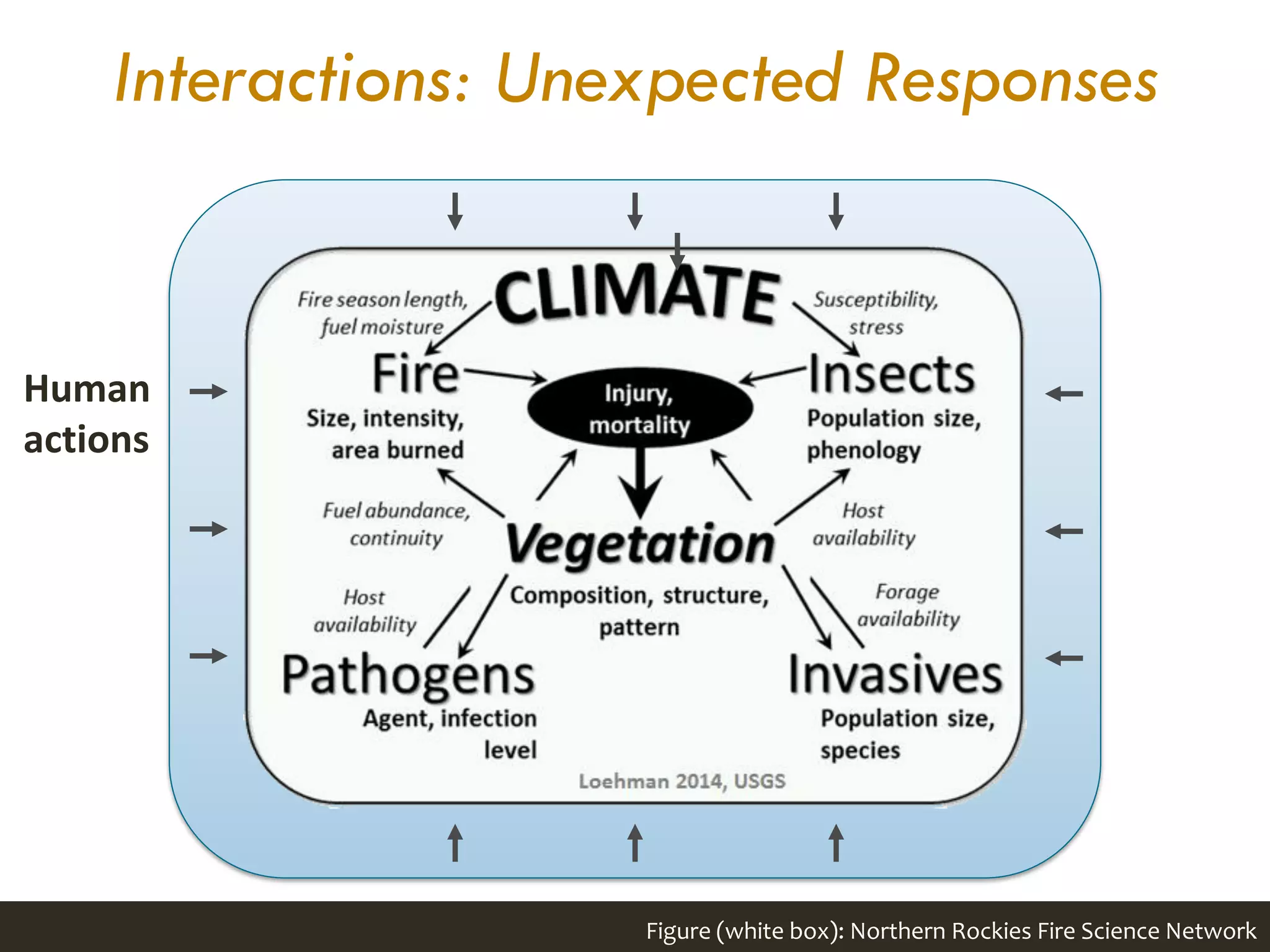 Interactions: Unexpected Responses
Figure (white box): Northern Rockies Fire Science Network
Human
actions
 