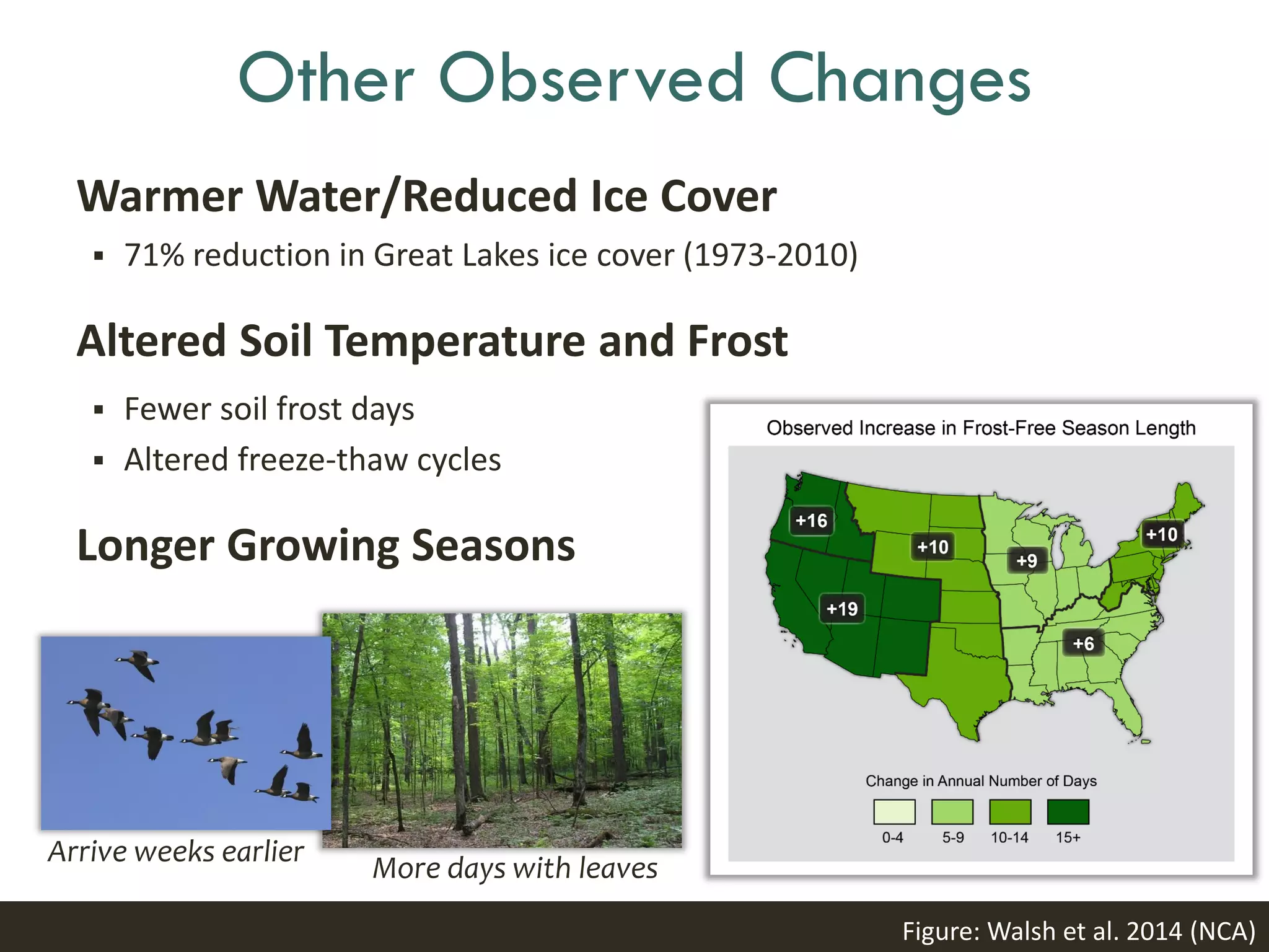Other Observed Changes
Warmer Water/Reduced Ice Cover
 71% reduction in Great Lakes ice cover (1973-2010)
Altered Soil Temperature and Frost
 Fewer soil frost days
 Altered freeze-thaw cycles
Longer Growing Seasons
Arrive weeks earlier
More days with leaves
Figure: Walsh et al. 2014 (NCA)
 
