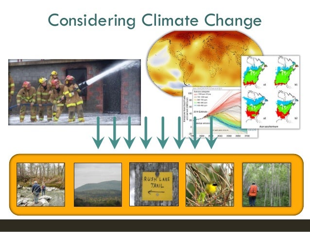 Ecosystem Response to Climate Change