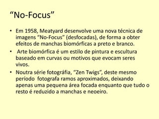 “No-Focus”
• Em 1958, Meatyard desenvolve uma nova técnica de
imagens “No-Focus” (desfocadas), de forma a obter
efeitos de manchas biomórficas a preto e branco.
• Arte biomórfica é um estilo de pintura e escultura
baseado em curvas ou motivos que evocam seres
vivos.
• Noutra série fotográfia, “Zen Twigs”, deste mesmo
período fotografa ramos aproximados, deixando
apenas uma pequena área focada enquanto que tudo o
resto é reduzido a manchas e neoeiro.

 