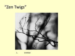 “Zen Twigs”

1.

Untitled

 