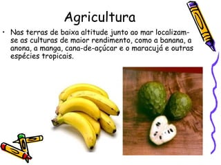 Agricultura Nas terras de baixa altitude junto ao mar localizam-se as culturas de maior rendimento, como a banana, a anona, a manga, cana-de-açúcar e o maracujá e outras espécies tropicais.  