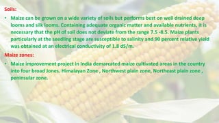 Soils:
• Maize can be grown on a wide variety of soils but performs best on well drained deep
looms and silk looms. Containing adequate organic matter and available nutrients, it is
necessary that the pH of soil does not deviate from the range 7.5 -8.5. Maize plants
particularly at the seedling stage are susceptible to salinity and 90 percent relative yield
was obtained at an electrical conductivity of 1.8 dS/m.
Maize zones:
• Maize improvement project in India demarcated maize cultivated areas in the country
into four broad Jones. Himalayan Zone , Northwest plain zone, Northeast plain zone ,
peninsular zone.
 