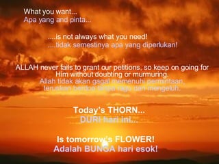 What you want... Apa yang and pinta... ....is not always what you need! ....tidak semestinya apa yang diperlukan! ALLAH never fails to grant our petitions, so keep on going for Him without doubting or murmuring. Allah tidak akan gagal memenuhi permintaan, teruskan berdoa tanpa ragu dan mengeluh. Today’s THORN... DURI hari ini... Is tomorrow’s FLOWER!  Adalah BUNGA hari esok!  
