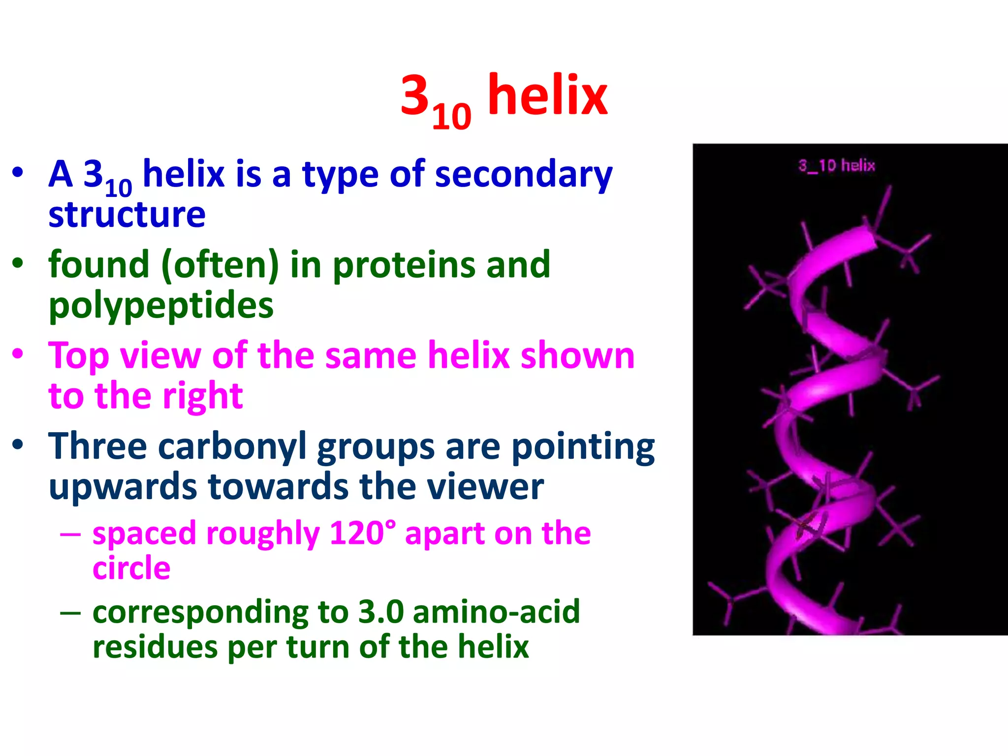 310 helix
• A 310 helix is a type of secondary
structure
• found (often) in proteins and
polypeptides
• Top view of the same helix shown
to the right
• Three carbonyl groups are pointing
upwards towards the viewer
– spaced roughly 120° apart on the
circle
– corresponding to 3.0 amino-acid
residues per turn of the helix
 