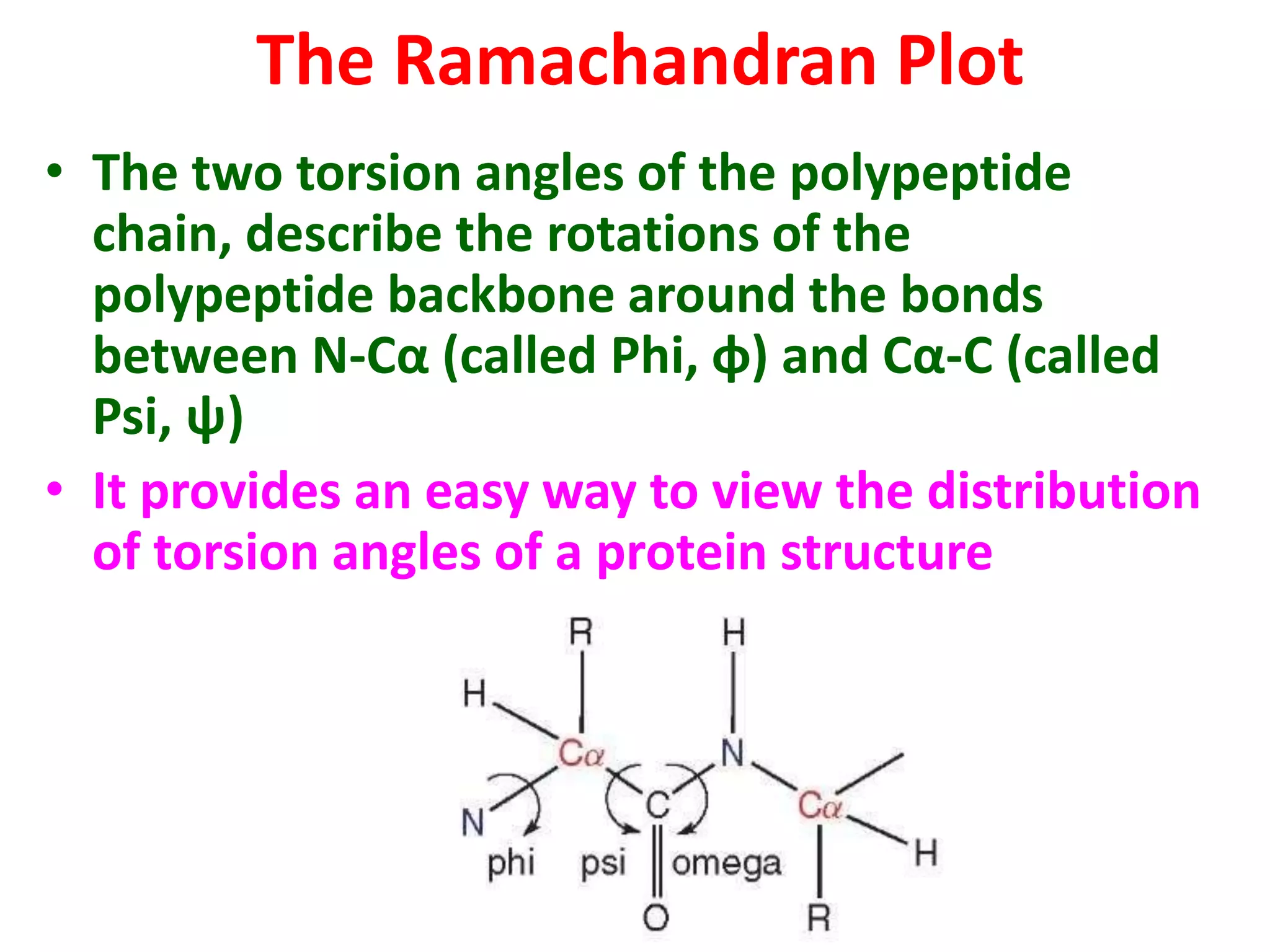 The Ramachandran Plot
• The two torsion angles of the polypeptide
chain, describe the rotations of the
polypeptide backbone around the bonds
between N-Cα (called Phi, φ) and Cα-C (called
Psi, ψ)
• It provides an easy way to view the distribution
of torsion angles of a protein structure
 