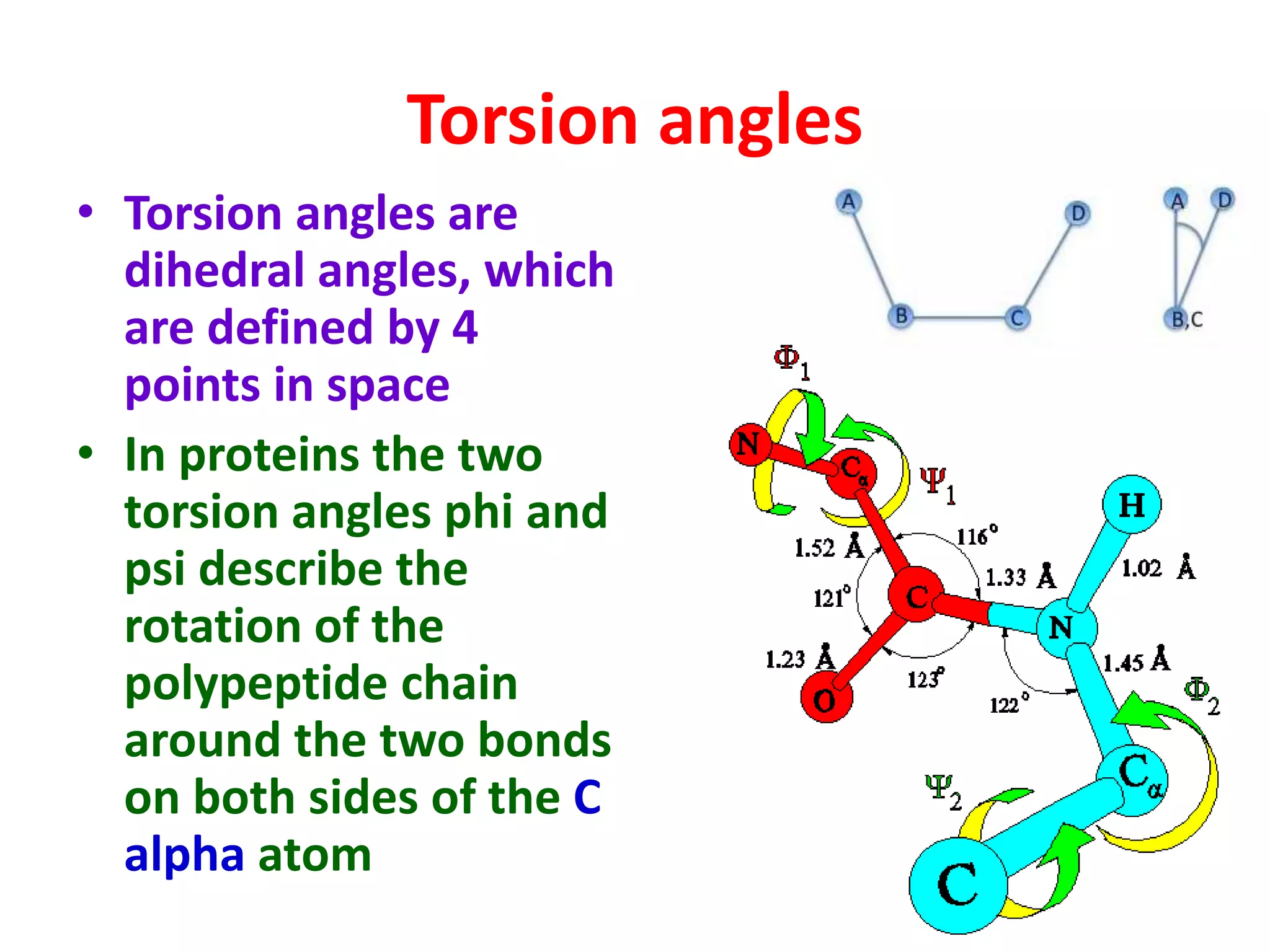 Torsion angles
• Torsion angles are
dihedral angles, which
are defined by 4
points in space
• In proteins the two
torsion angles phi and
psi describe the
rotation of the
polypeptide chain
around the two bonds
on both sides of the C
alpha atom
 