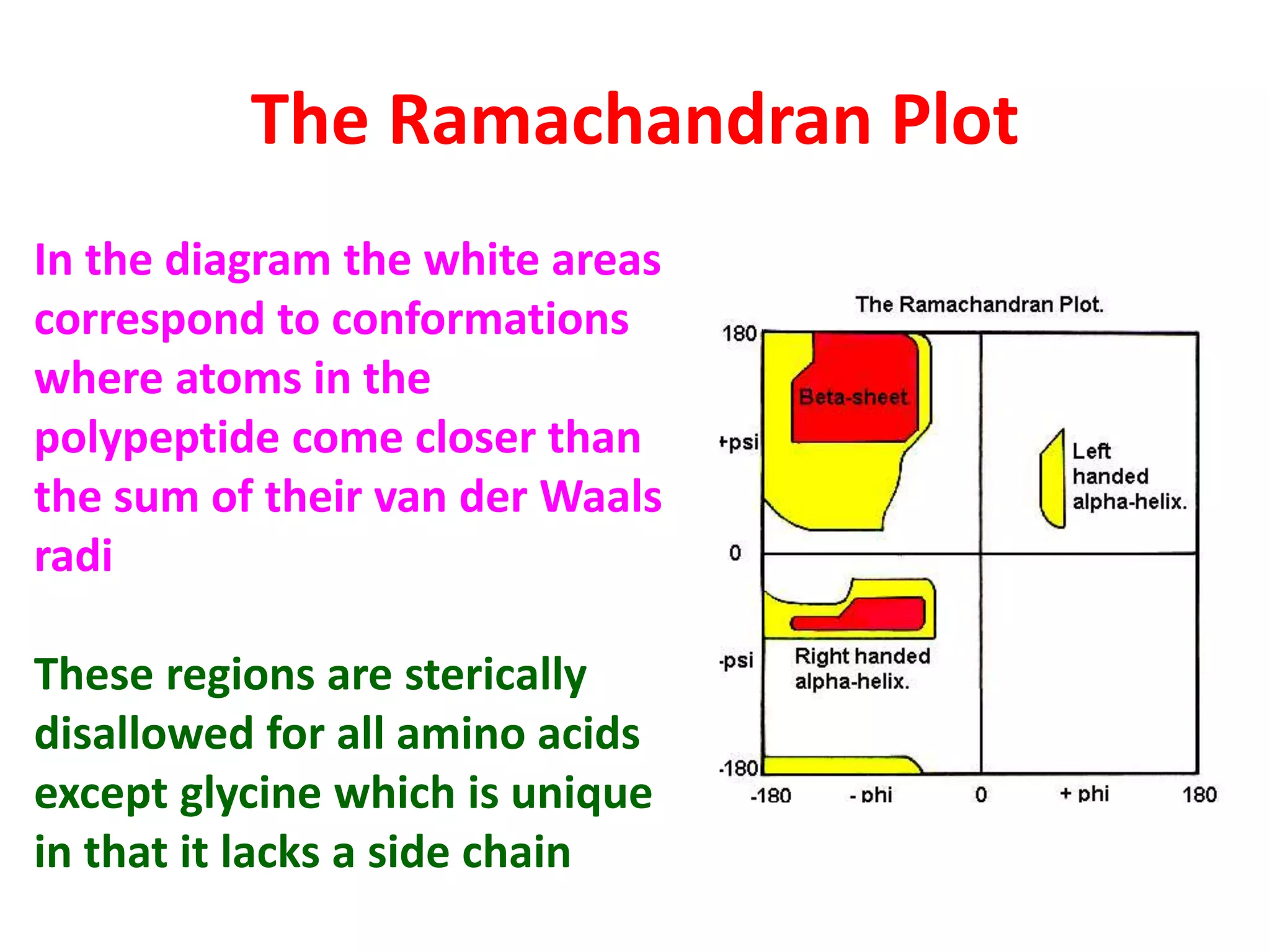 The Ramachandran Plot
In the diagram the white areas
correspond to conformations
where atoms in the
polypeptide come closer than
the sum of their van der Waals
radi
These regions are sterically
disallowed for all amino acids
except glycine which is unique
in that it lacks a side chain
 