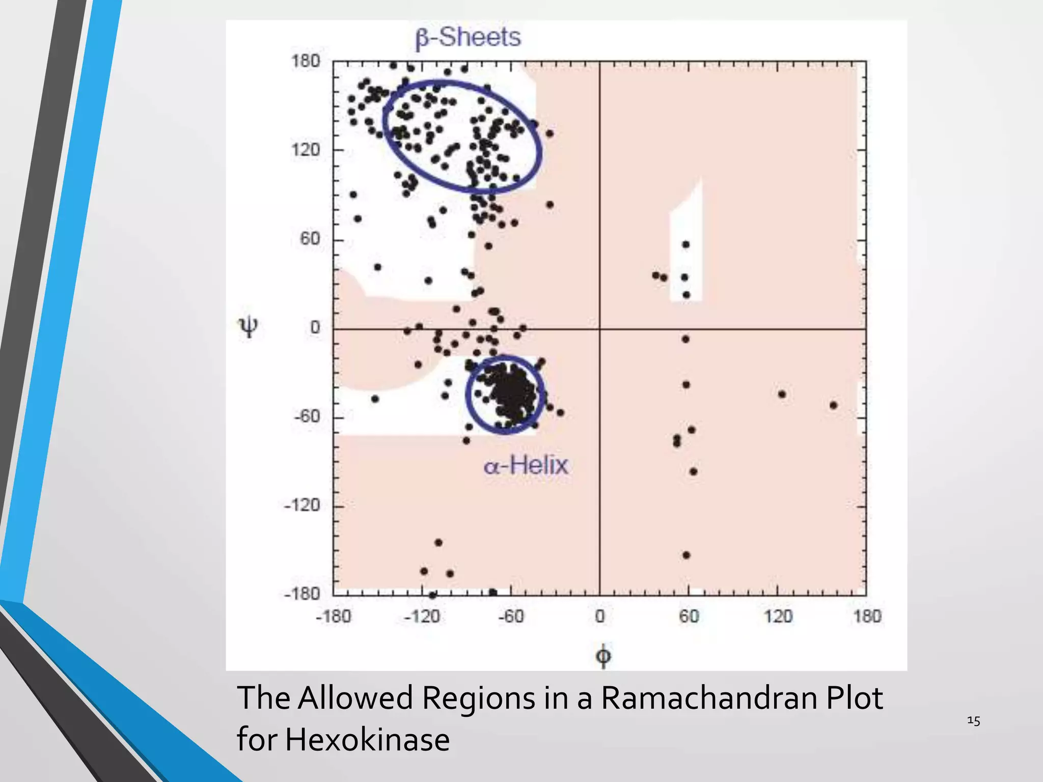 The Allowed Regions in a Ramachandran Plot
for Hexokinase
15
 